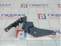 Петля капота правая BMW X6 (E71) 41007198618.