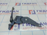 Петля капота левая BMW X6 (E71) 41007198617.