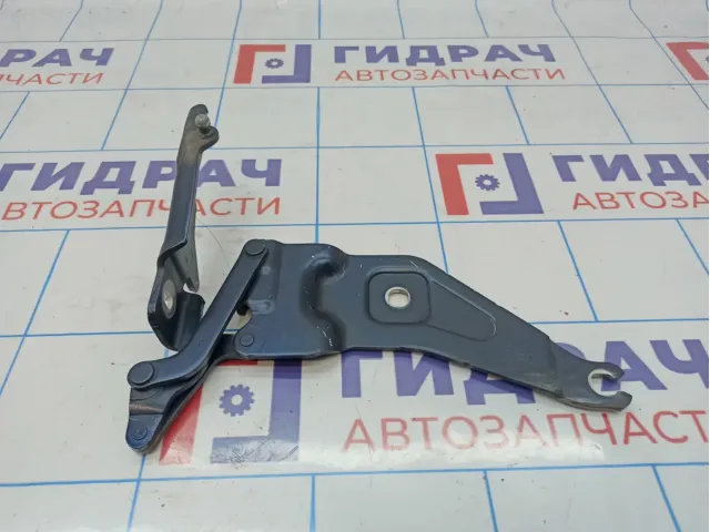 Петля капота левая BMW X6 (E71) 41007198617.