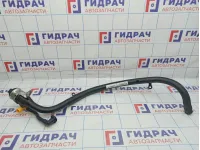 Горловина топливного бака BMW X6 (E71) 16117164254.