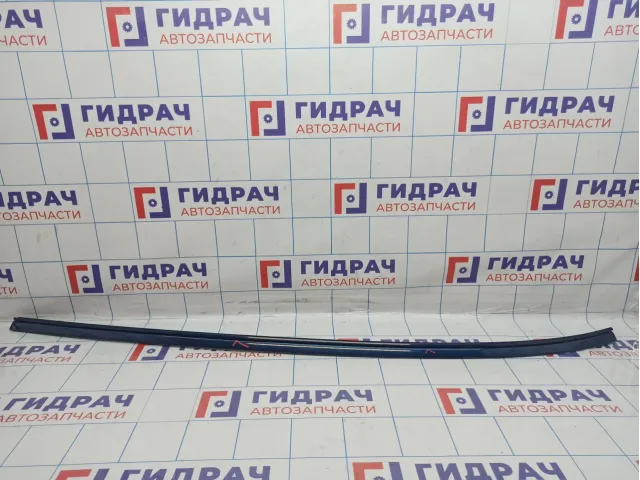 Молдинг крыши левый BMW X6 (E71) 51137250401.