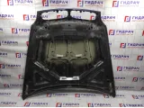 Капот BMW X6 (E71) 41617273439. Сколы.Красился.