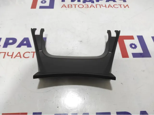 Накладка DVD монитора BMW X6 (E71) 65509131490.
