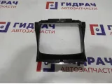 Накладка центральной консоли BMW X6 (E71) 51169129401.