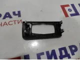 Накладка декоративная на торпедо BMW X6 (E71) 51456961605.