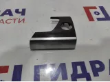 Накладка декоративная торпеды правая BMW X6 (E71) 51459128166.