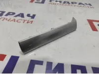 Накладка декоративная торпеды левая BMW X6 (E71) 51456956691.