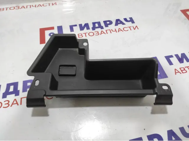 Контейнер в багажник BMW X6 (E71) 51476981047.