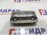 Плафон салонный BMW X6 (E71) 63319111010.