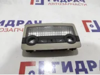 Плафон салонный BMW X6 (E71) 63319111010.