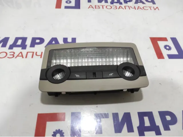 Плафон салонный BMW X6 (E71) 63319111010.