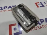 Плафон салонный BMW X6 (E71) 63319111010.