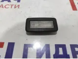 Плафон салонный BMW X6 (E71) 63319111009.