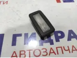 Плафон салонный BMW X6 (E71) 63319111009.