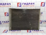 Радиатор кондиционера BMW X6 (E71) 64536972553.