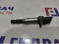Катушка зажигания BMW X6 (E71) 12135A06753. Delphi.