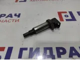 Катушка зажигания BMW X6 (E71) 12135A06753. Delphi.