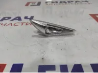 Повторитель на крыло левый белый BMW X6 (E71) 63137171007.