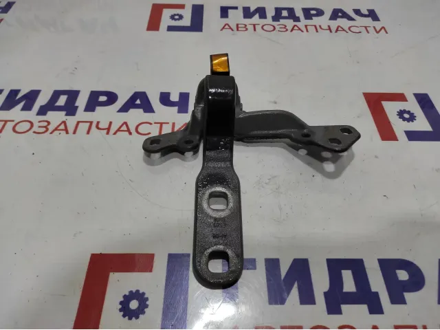 Петля двери багажника верхняя левая BMW X6 (E71) 41007202863.