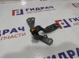 Петля двери багажника верхняя левая BMW X6 (E71) 41007202863.