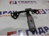 Петля двери багажника верхняя левая BMW X6 (E71) 41007202863.