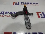 Петля двери багажника верхняя правая BMW X6 (E71) 41007202864.