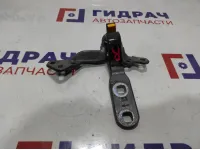Петля двери багажника верхняя правая BMW X6 (E71) 41007202864.