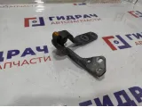 Петля двери багажника верхняя правая BMW X6 (E71) 41007202864.