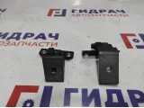 Петли двери задней правой BMW X6 (E71) . Комплект.