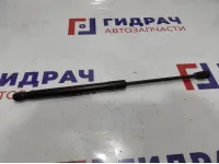 Амортизатор капота левый BMW X6 (E71) 51237148346.