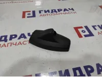 Накладка декоративная BMW X6 (E71) 51169121512. На салонное зеркало.