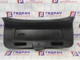 Обшивка двери багажника BMW X6 (E71) 51497202523.