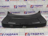 Обшивка двери багажника BMW X6 (E71) 51497202523.