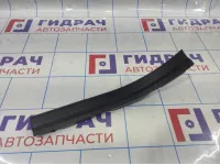 Накладка порога внутренняя задняя левая BMW X6 (E71) 51479138225.