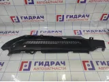 Направляющая шторки багажника BMW X6 (E71) 51476981054. Правая.