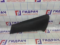 Обшивка стойки задней левой нижняя BMW X6 (E71) 51479113141. Дефект.