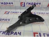 Накладка порога внутренняя задняя правая BMW X6 (E71) 51479123330.