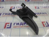 Накладка порога внутренняя задняя левая BMW X6 (E71) 51479123329.