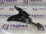 Накладка порога внутренняя задняя левая BMW X6 (E71) 51479123329.