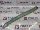 Накладка декоративная левая BMW X6 (E71) 0117828. Центральной консоли.