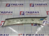 Обшивка стойки передней правой верхняя BMW X6 (E71) 51436979844.