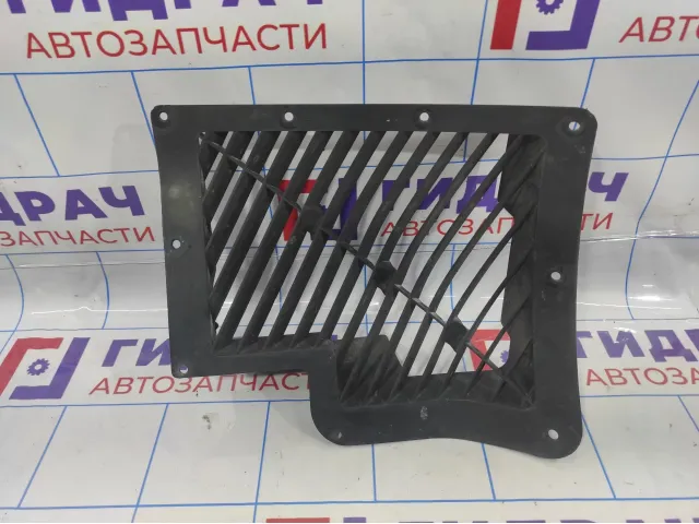 Воздухозаборник (наружный) BMW X6 (E71) 51747169417.