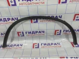 Накладка заднего крыла левого BMW X6 (E71) 51127176329.