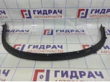 Накладка заднего крыла левого BMW X6 (E71) 51127176329.