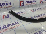 Накладка заднего крыла левого BMW X6 (E71) 51127176329.