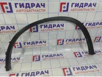 Накладка переднего крыла левого BMW X6 (E71) 51777176235.