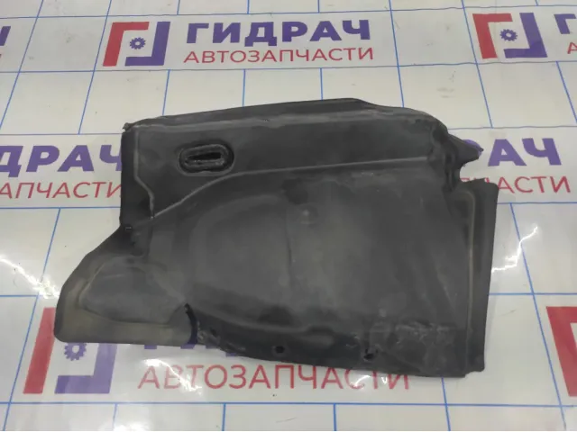 Локер передний левый BMW X6 (E71) 51747161745. Верхняя часть.