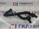 Трубка картерных газов BMW X6 (E71) 13717594721.