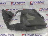 Локер передний левый BMW X6 (E71) 51717180619. Передняя часть.