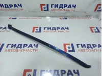 Молдинг лобового стекла левый BMW X6 (E71) 51317250403.